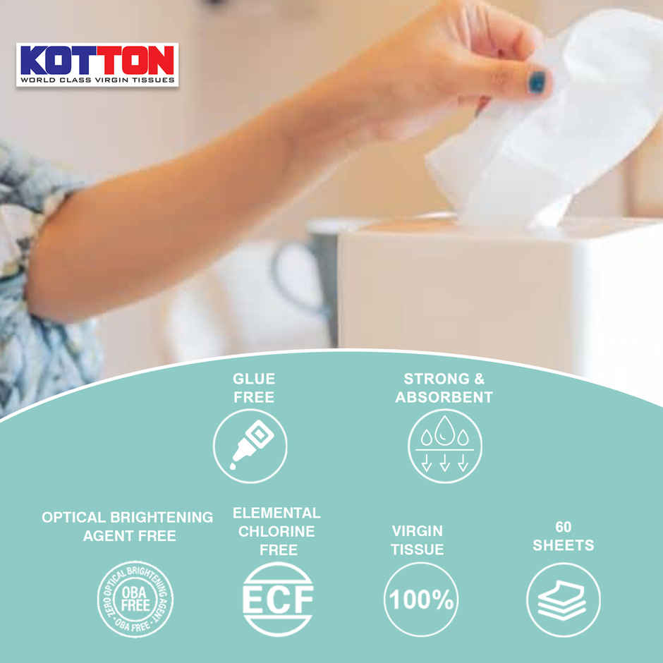 Kotton 2 Ply Kitchen Box Towel Paper Roll/100% Virgin Pulp/Paper - 20 x 20 cm - Pack of 1 -60 Pulls