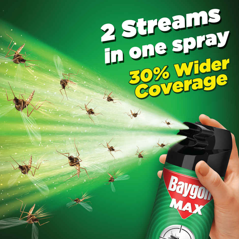 Baygon Max Mosquito and Fly Killer Spray
