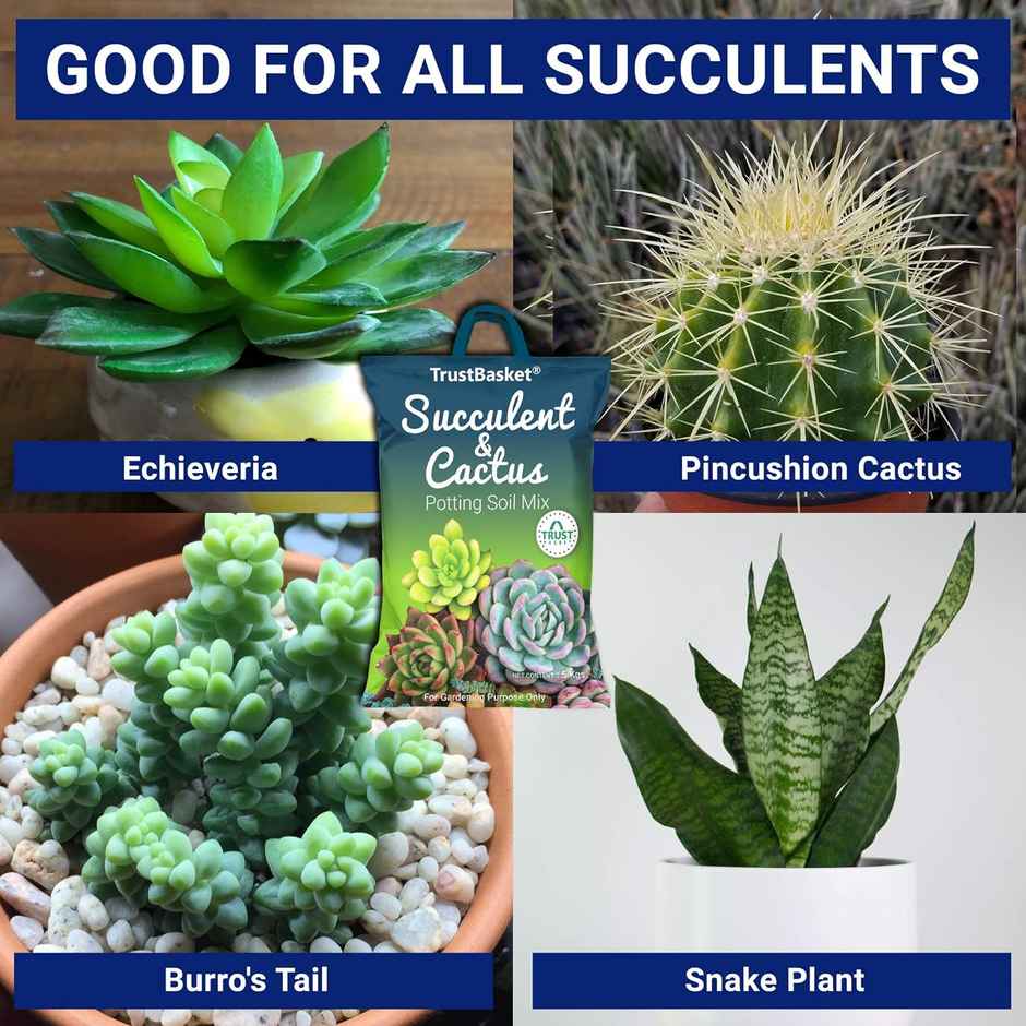 TrustBasket Succulent Potting Mix | Well-Drained Soil for Cactus, Pots & Planters