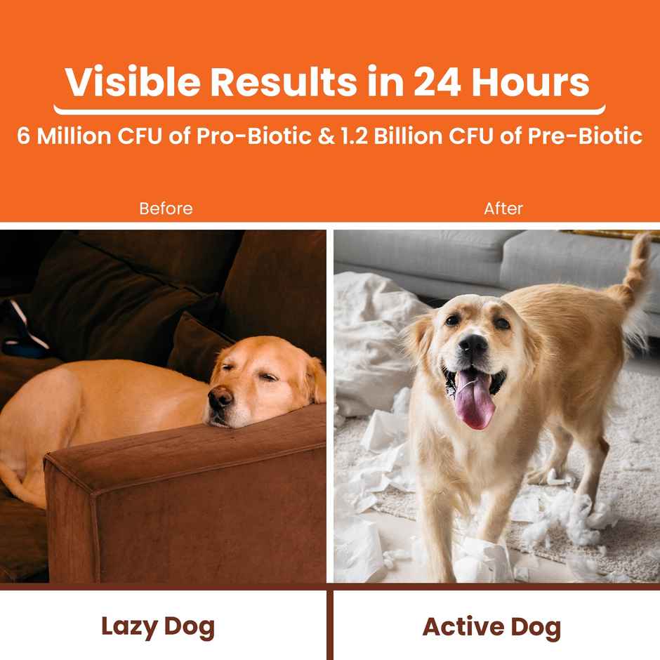 LICKICIOUS Pre and Probiotics Sachets - Gut Health & Digestion for Dogs & Cats