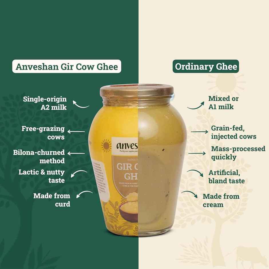 Anveshan A2 Gir Cow Ghee | Bilona Churned