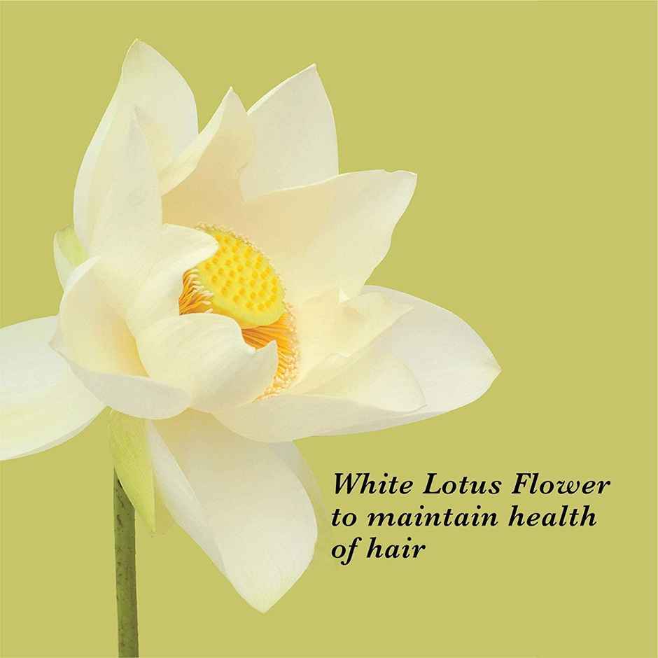 True Frog Everyday Hair Conditioner