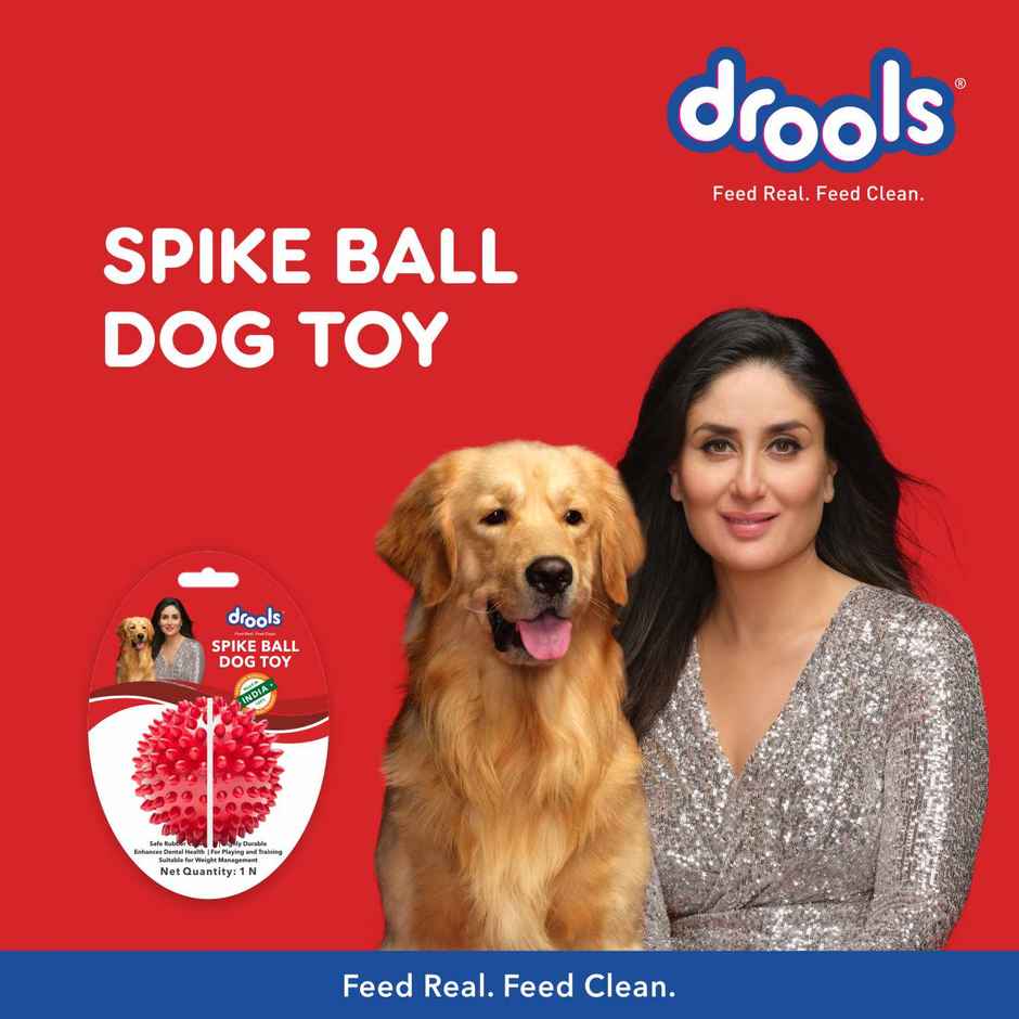 Drools Non-Toxic Rubber Stud Spike Hard Ball Chew Toy, Puppy/Dog Teething Toy - 3 inches