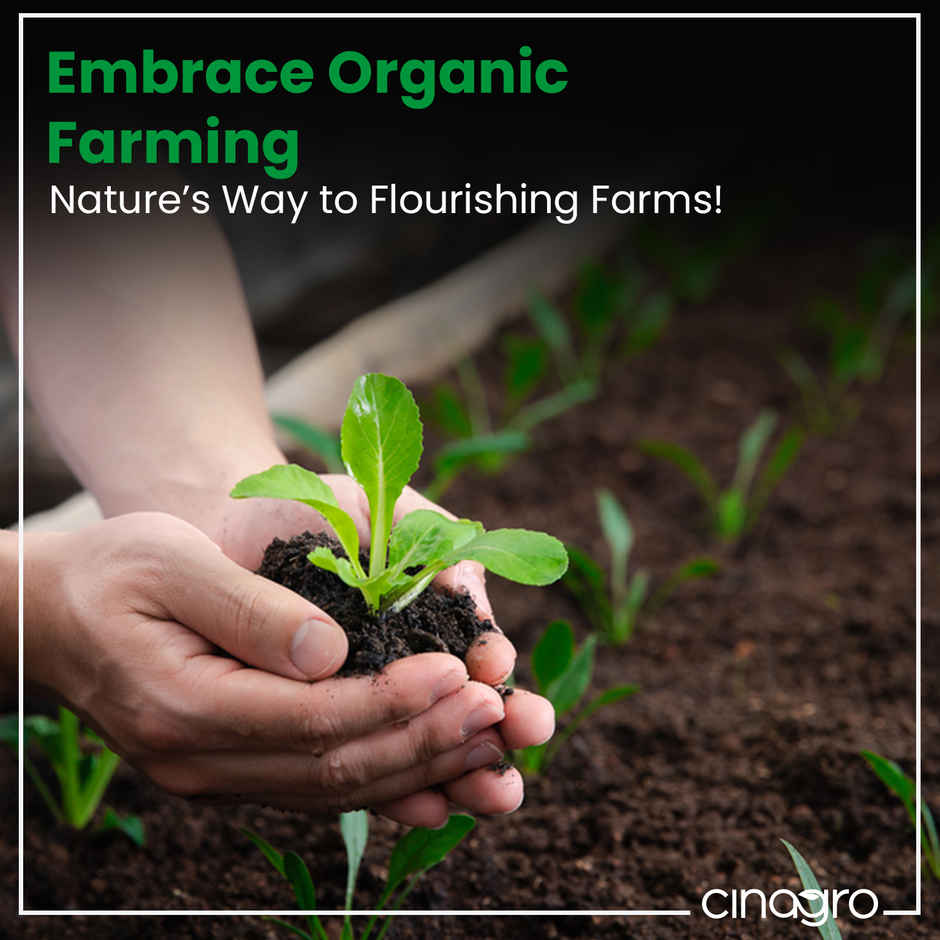 Cinagro Cow Dung Manure Plant Fertilizer for Soil Enrichment