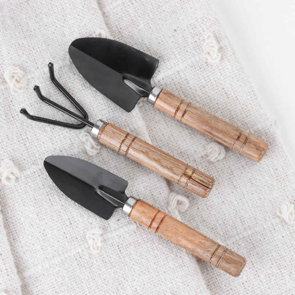 Zen Mini Garden Gift Box | FNP