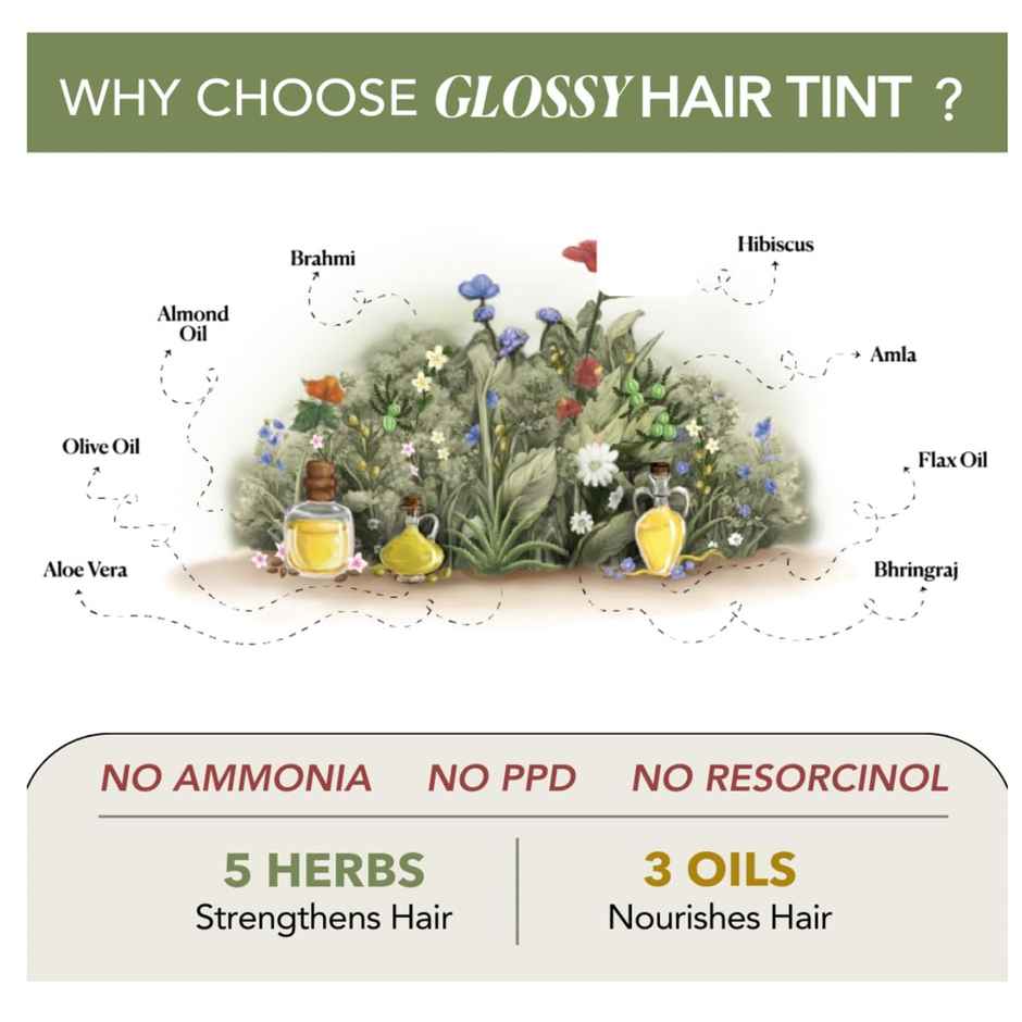 Paradyes No Bleach Berry Plum Glossy Hair Tint