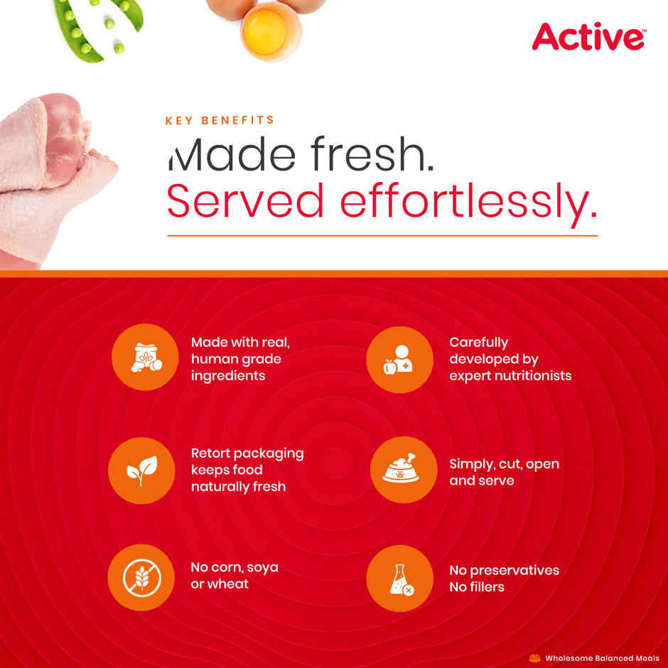 Active Chicken & Pumpkin Dog Fresh Food (Adults & Puppies)