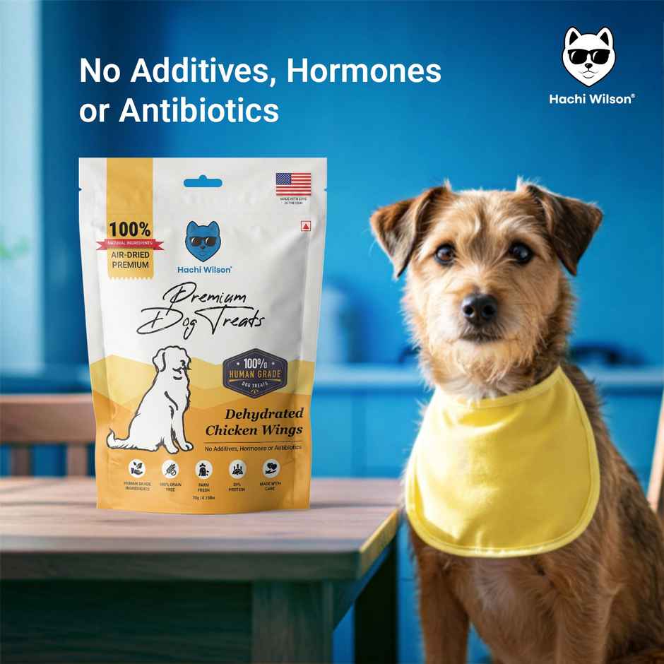 Hachi Wilson Premium Dog Treat Dehydrated Chicken Wings