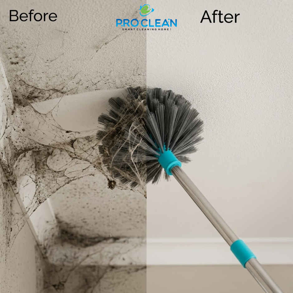 Proclean Diamond Brush Gobi Jala Broom-Brush with SS Telescopic Handle | 5 Feet