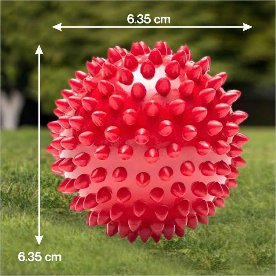 Drools Non-Toxic Rubber Stud Spike Hard Ball Chew Toy, Puppy/Dog Teething Toy - 3 inches