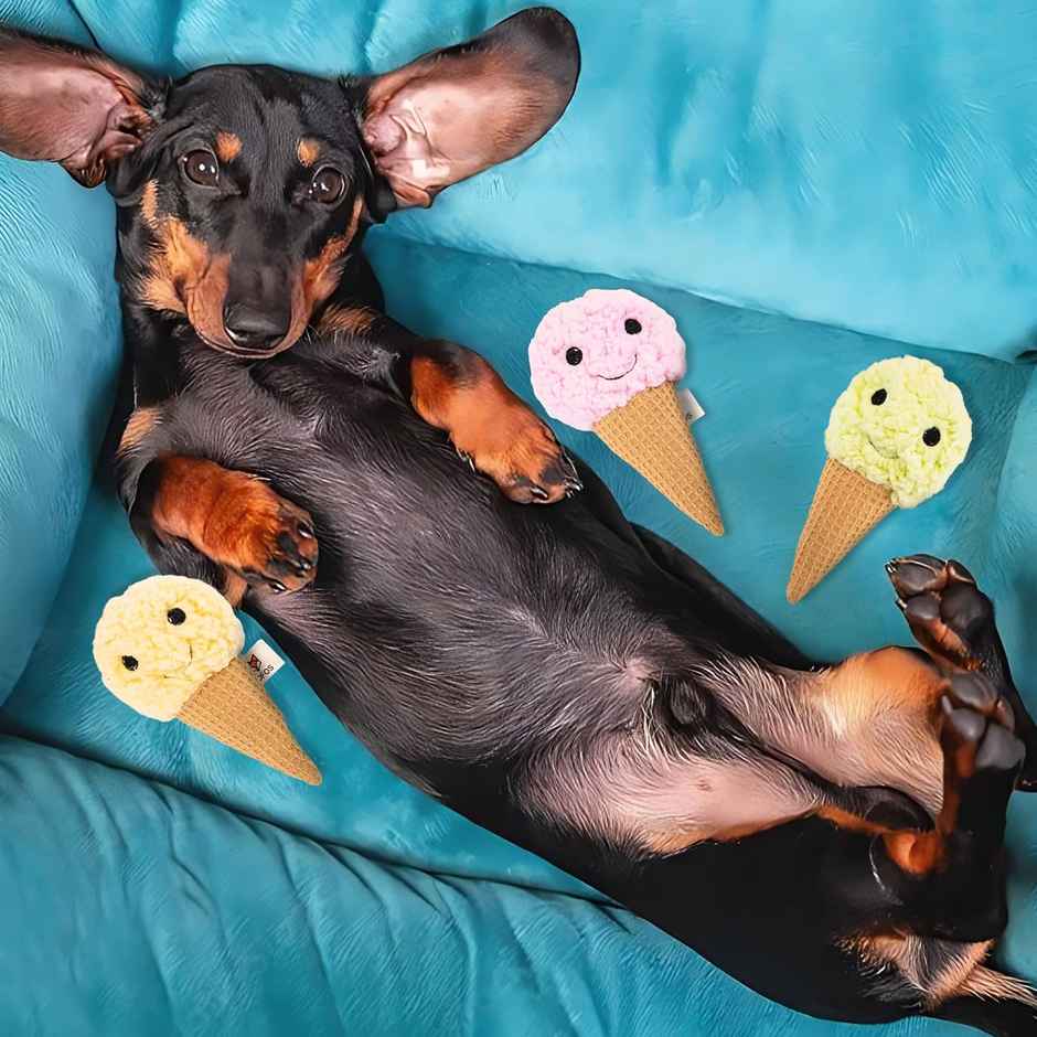 FOFOS Ice Cream - Plush Dog Toy | Soft Squeaky Pet Toy | Small Dog Toys For 0-10Kgs (Puppy Toys)