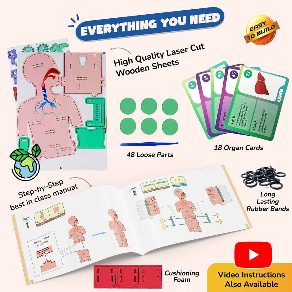Smartivity DIY Human Body Model with Organ Card Games, Fun & Educational Toy