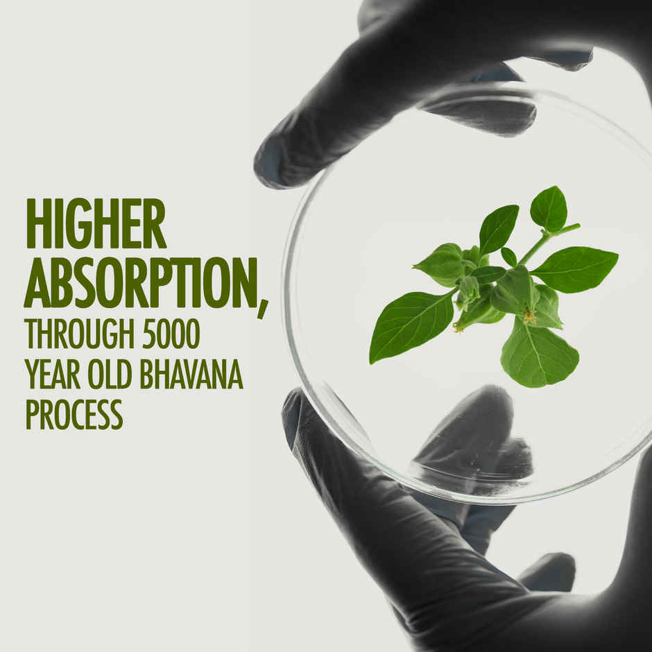 Kapiva Ashwagandha Gold Capsule