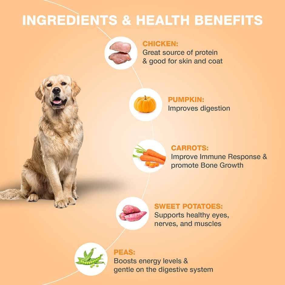 Benny's Bowl Fresh & Wet Dog Food - Chicken & Pumpkin | Grain Free