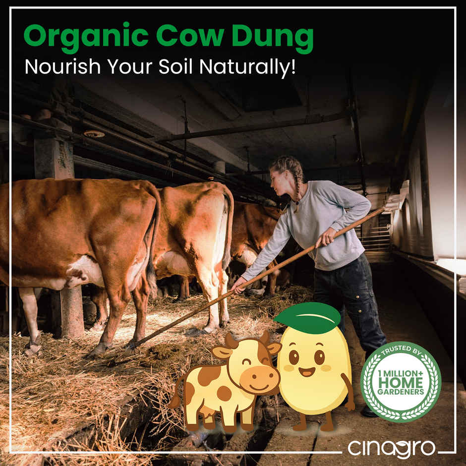 Cinagro Organic Manure Plant Fertilizer, Cow Dung Compost, Releases Phosphorus & Potassium