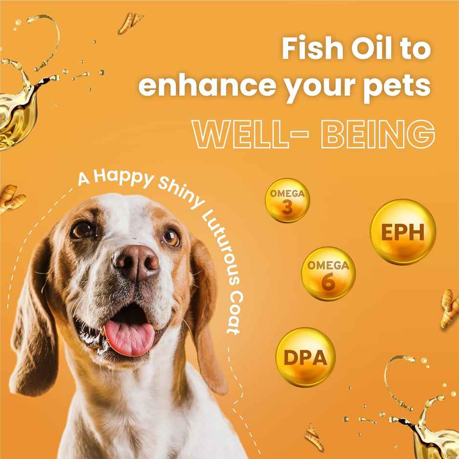 Bark Out Loud Dog Treat & Cat Treat | Turmeric Chewstix | Fresh Chicken,Pumpkin & Grape Seed Extract