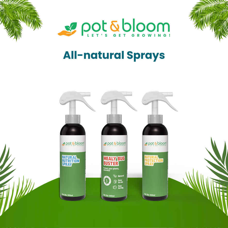 Pot And Bloom Mealy Bug Buster