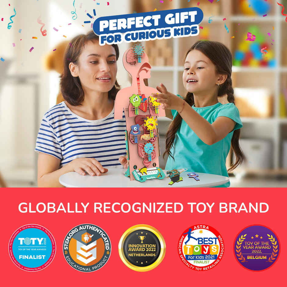 Smartivity DIY Human Body Model with Organ Card Games, Fun & Educational Toy