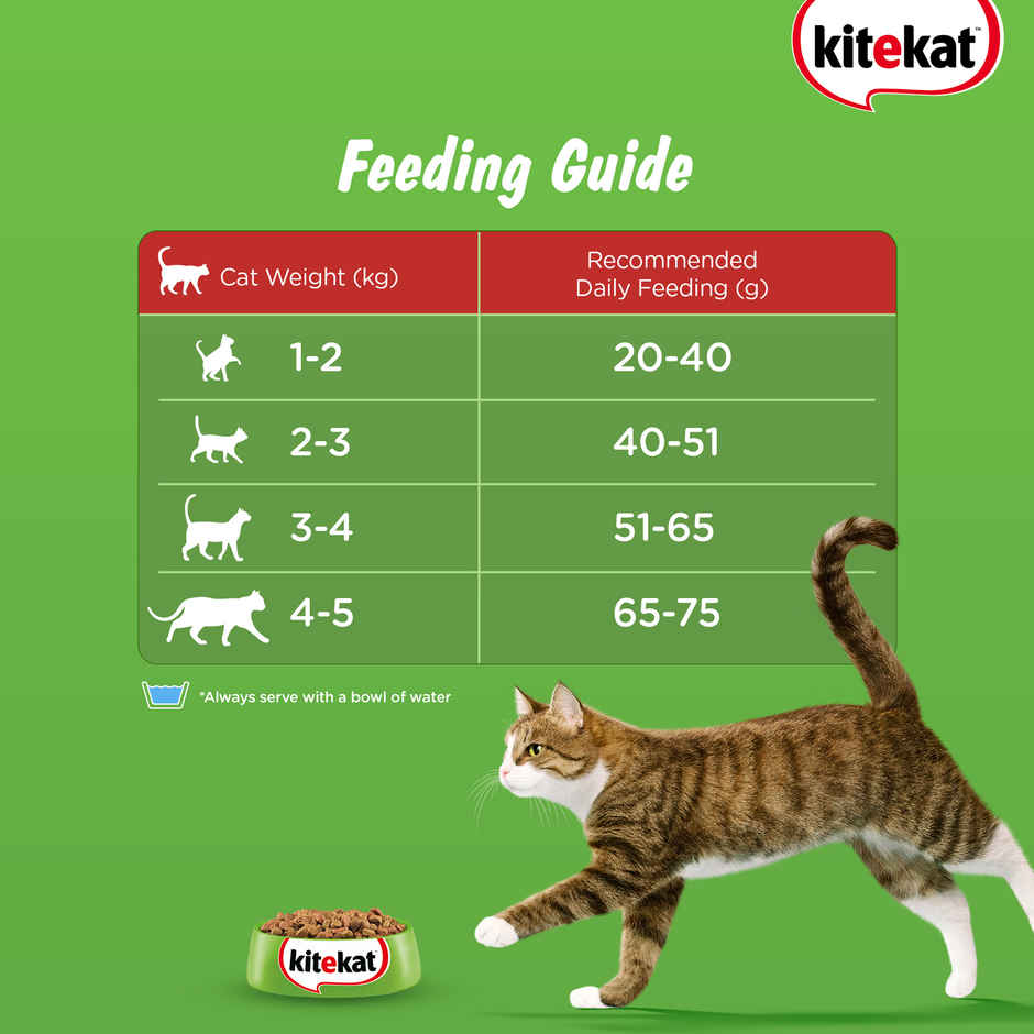 Kitekat Adult Dry Cat Food | Ocean Fish Flavour | 1+ Years