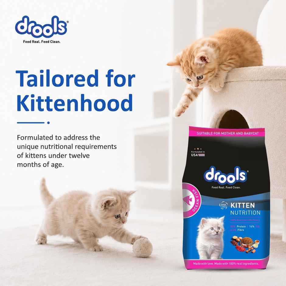 Drools Kitten (1-12 Months) Dry Cat Food With Free Container - Ocean Fish
