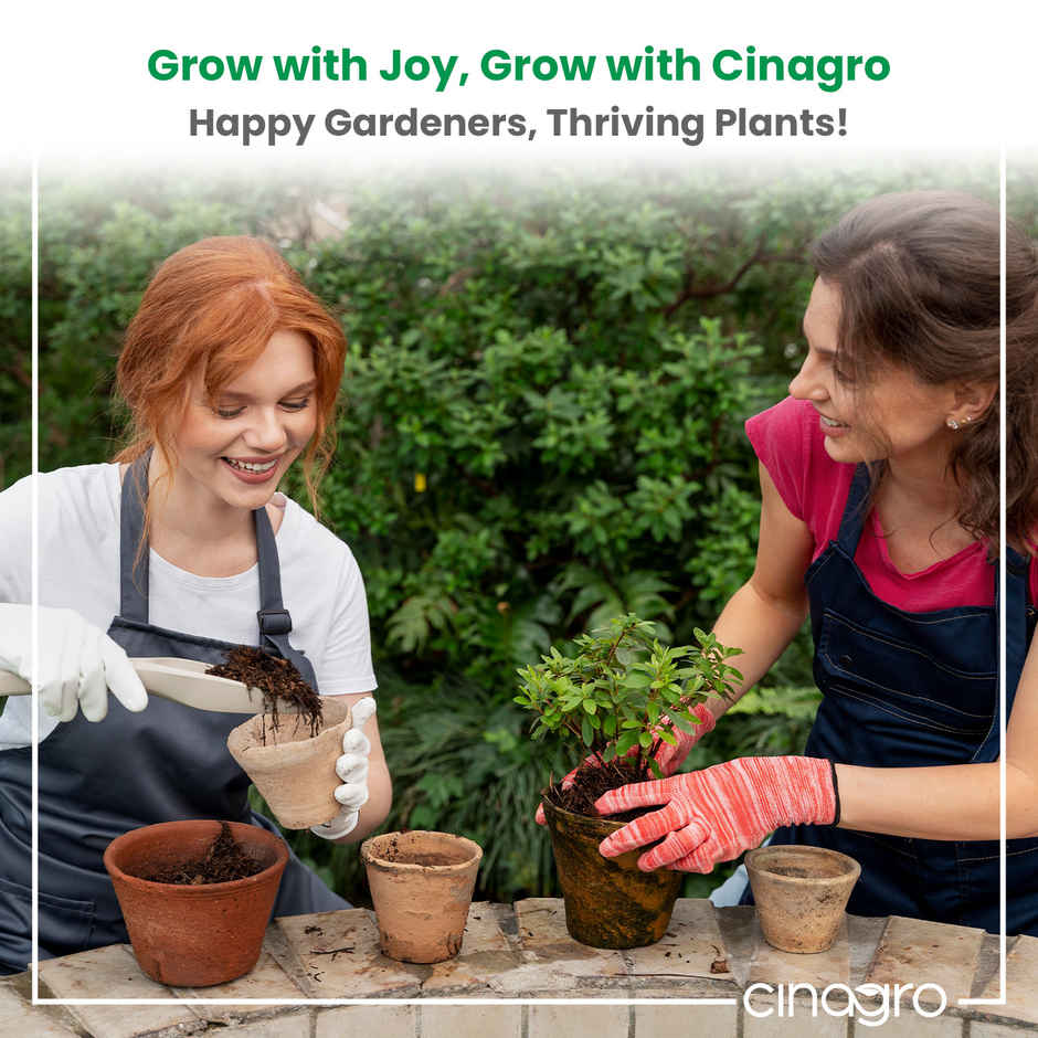 Cinagro Vermicompost Plant Fertilizer, Improves Plant Health, Water Retention & Soil Quality