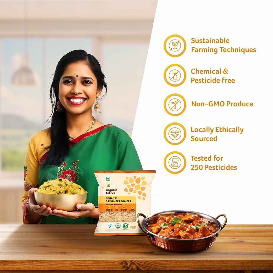 Organic Tattva Dry Ginger Powder