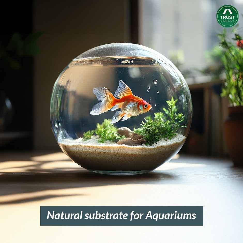 Trustbasket Natural River Sand For Plants & Aquariums | Ideal For Pooja, Terrariums