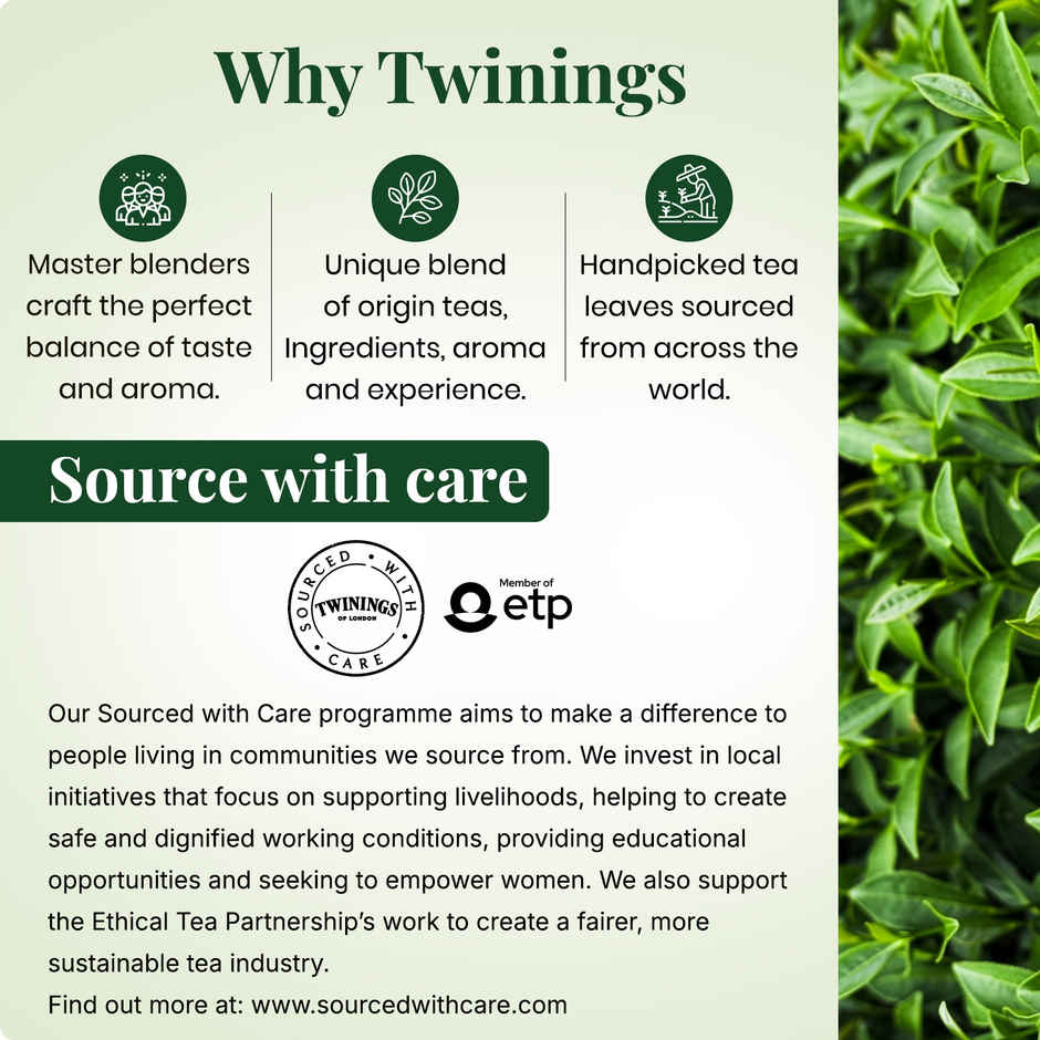 Twinings Pure Green Tea