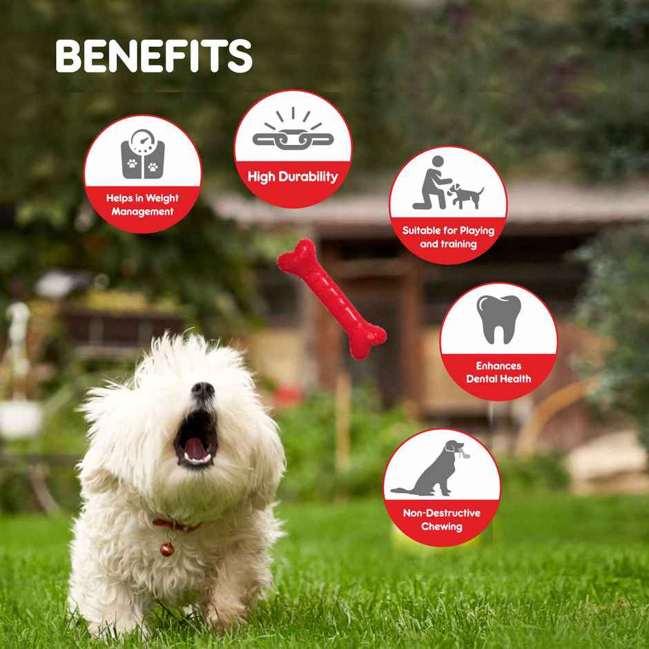 Drools Non-Toxic Rubber Dog Toy, Puppy/Dog Teething Toy (Medium) - 5 inches