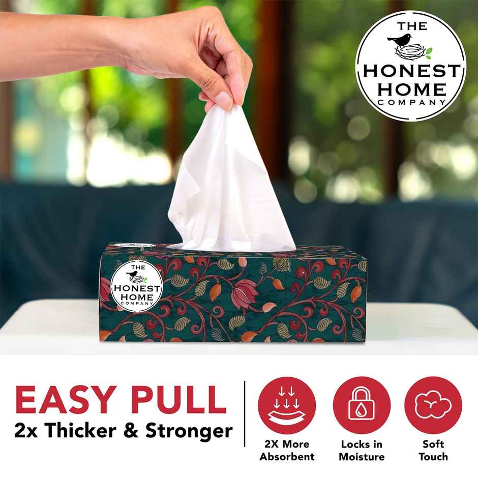 The Honest Home Company Face Tissue 2 Ply - 100 Pulls | Festive Green