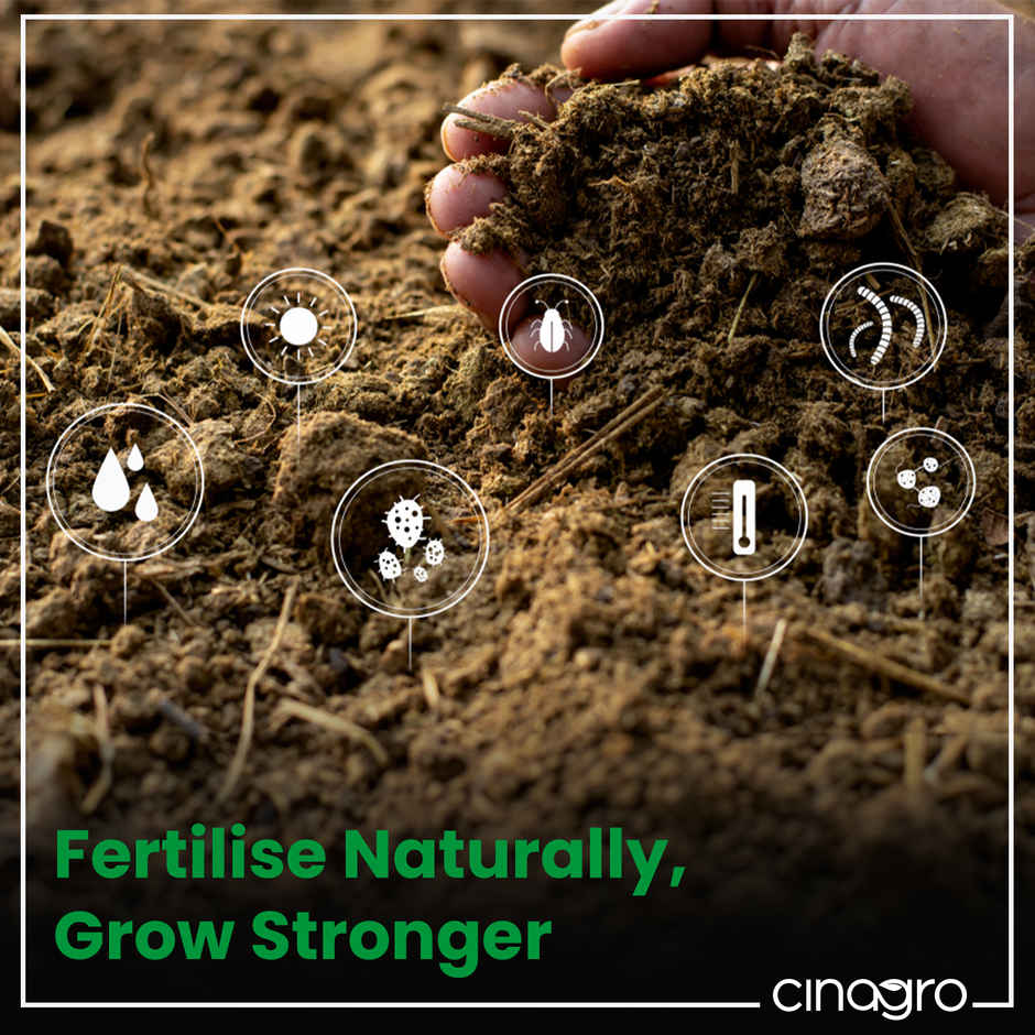 Cinagro Cow Dung Manure Plant Fertilizer for Soil Enrichment