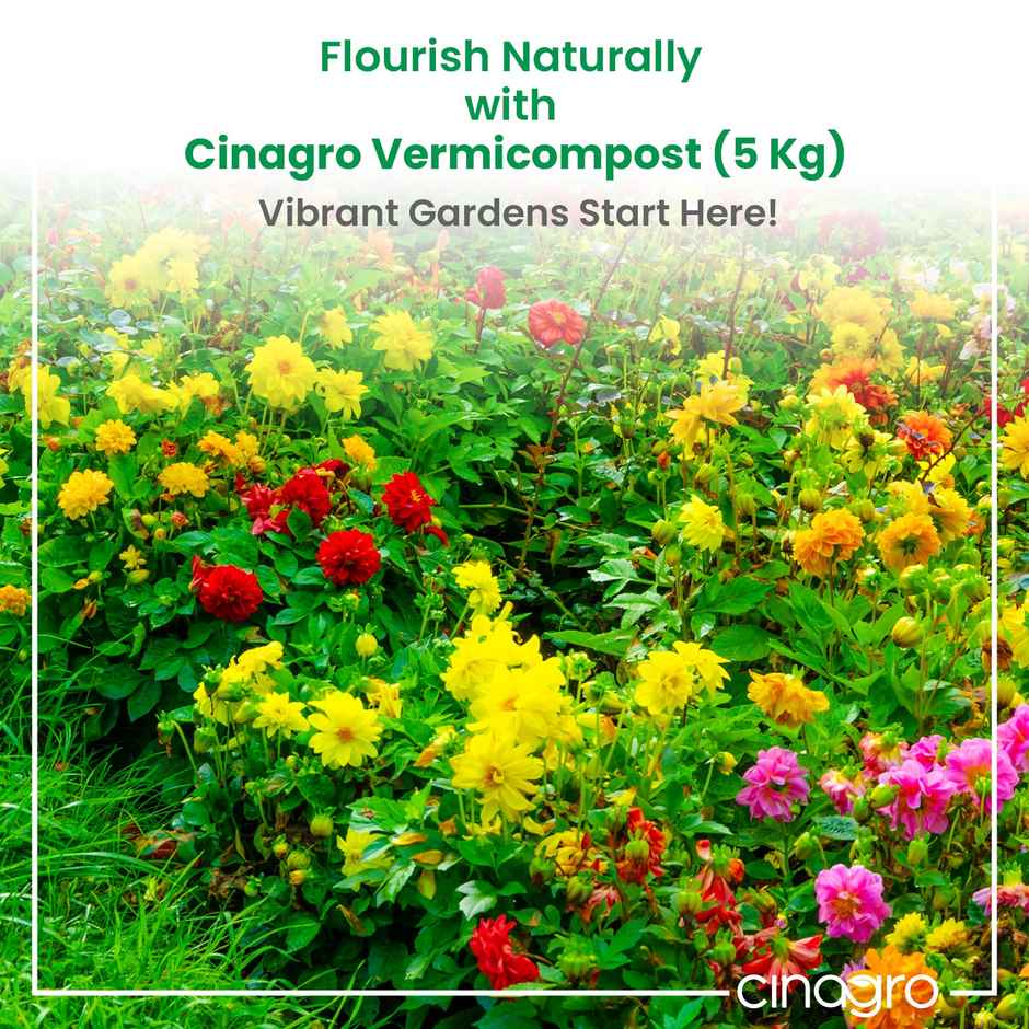 Cinagro Vermicompost Fertilizer for Plants|Nutrient-Rich Organic Fertilizer