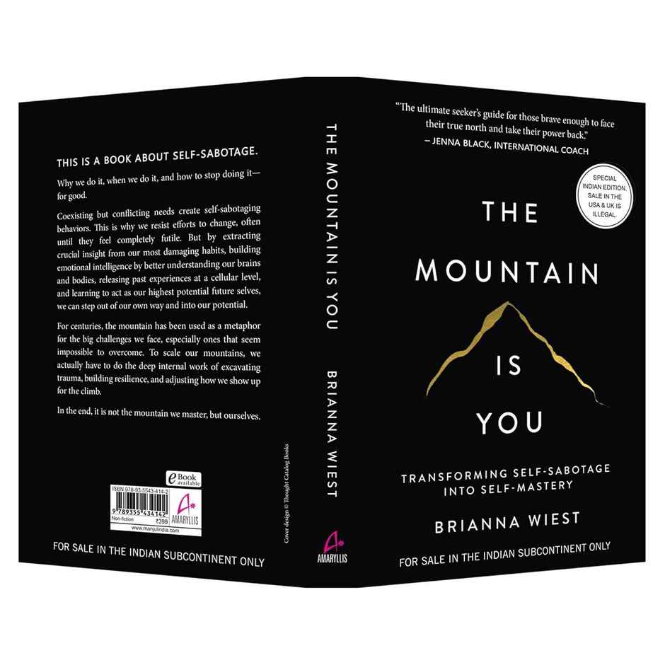 The Mountain Is You: Transforming Self-Sabotage Into Self-Mastery