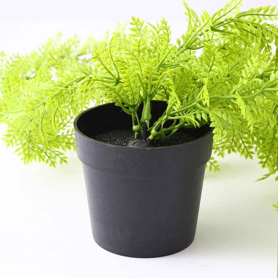 TIED RIBBONS Hanging Ferns Artificial Plant With Pot