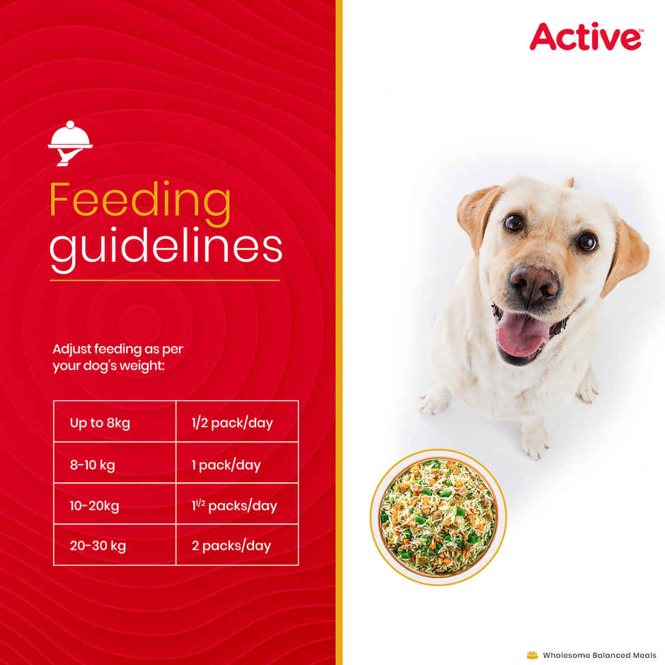 Active Chicken Biryani Fresh Dog Food