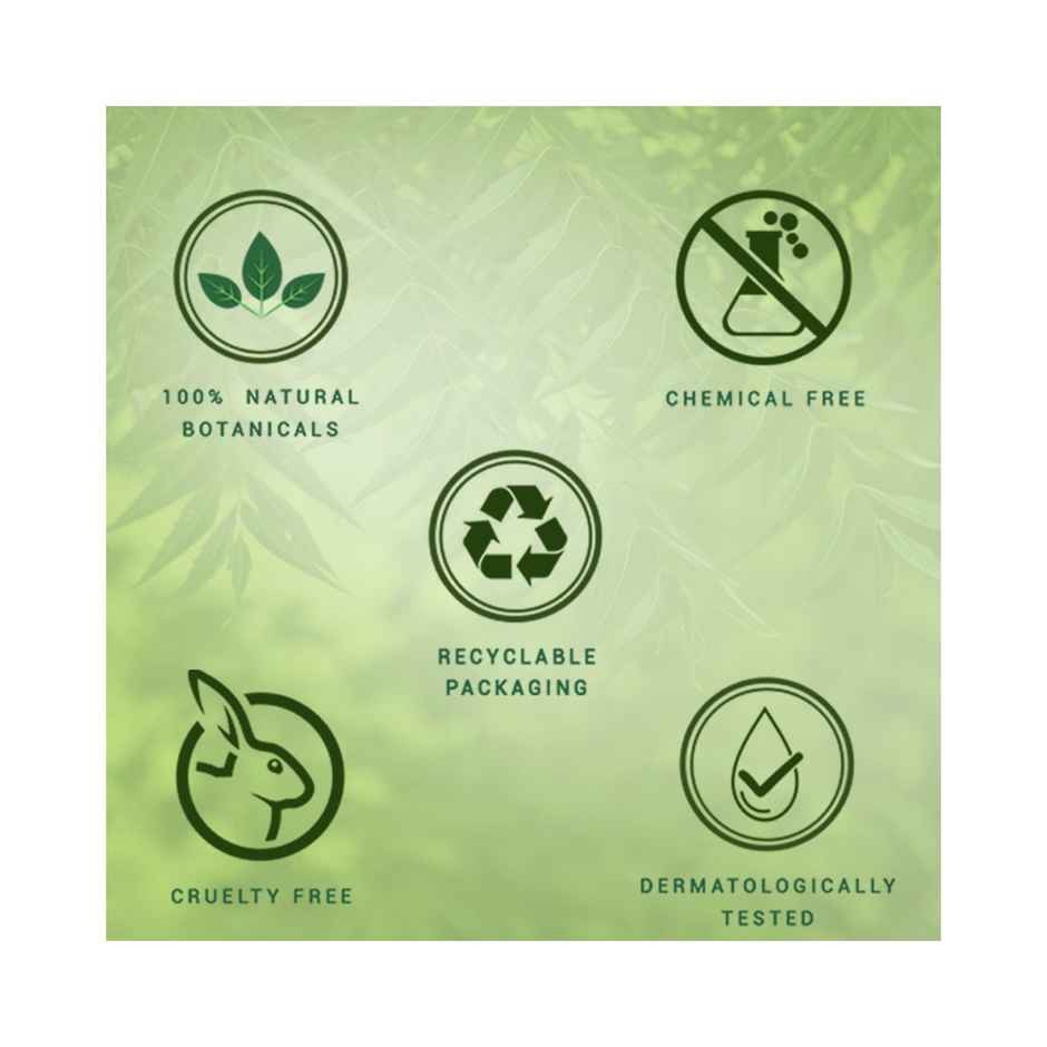 Biotique Wheatgerm Anti-Ageing Night Cream