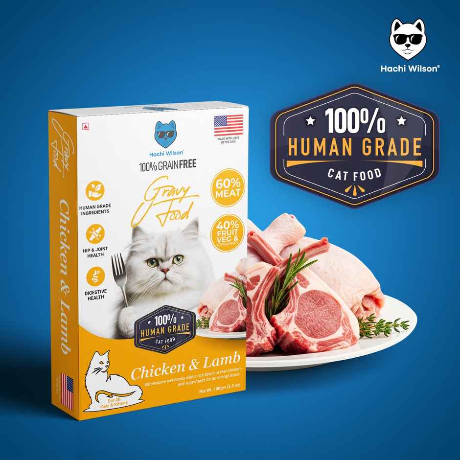 Hachi wilson Premium Chicken and Lamb Gravy cat food