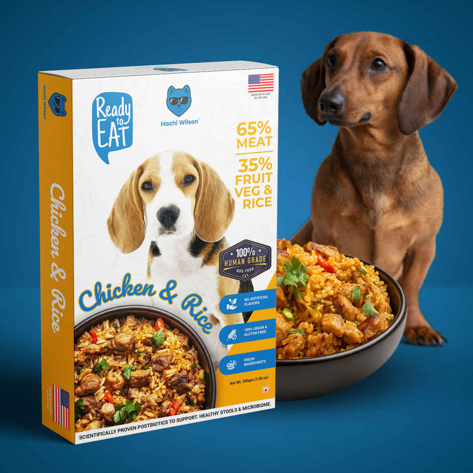 Hachi Wilson Fresh Wholesome Dog Food | Super Healthy food - Chicken & Rice