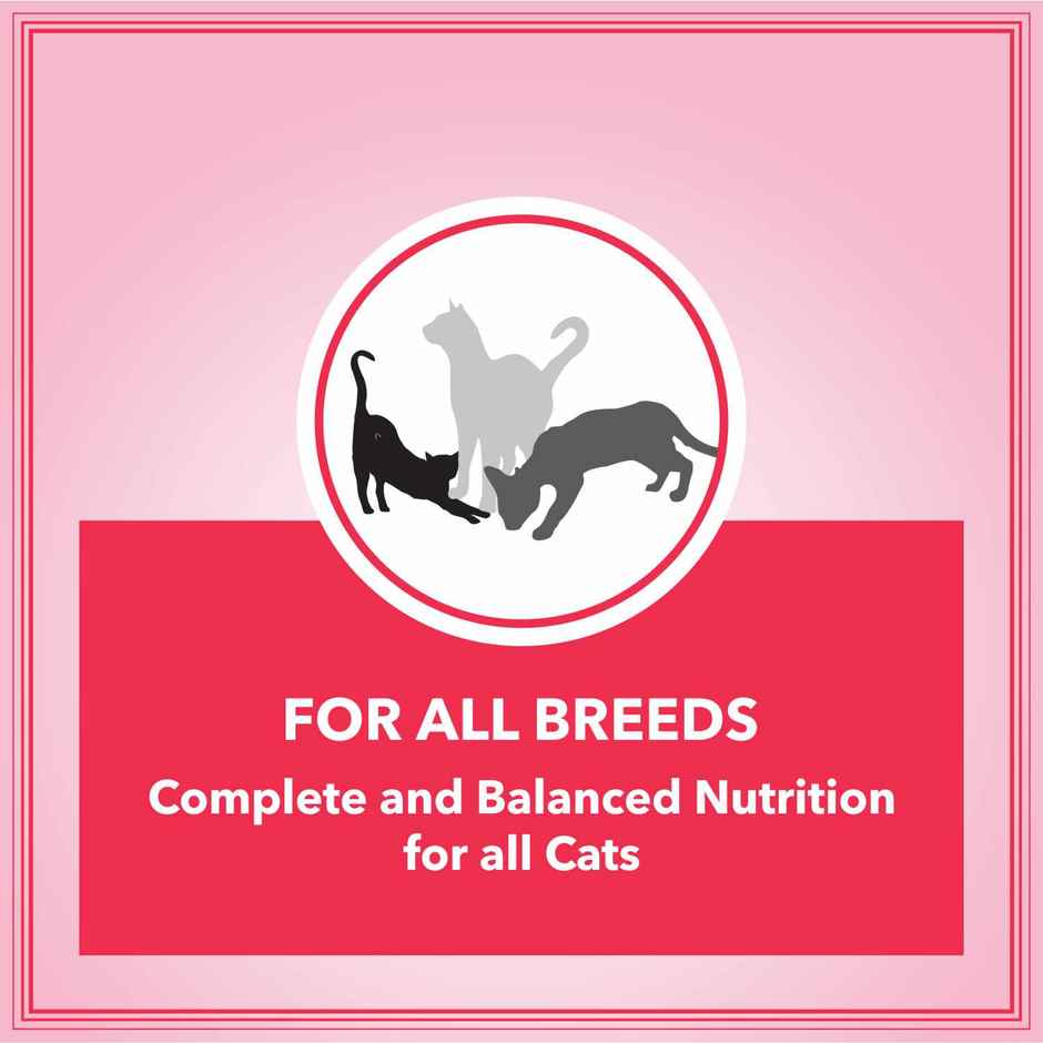 Let'S Bite Active Adult Dry Cat Food - Ocean Fish (Buy 1 Get 1 Free)