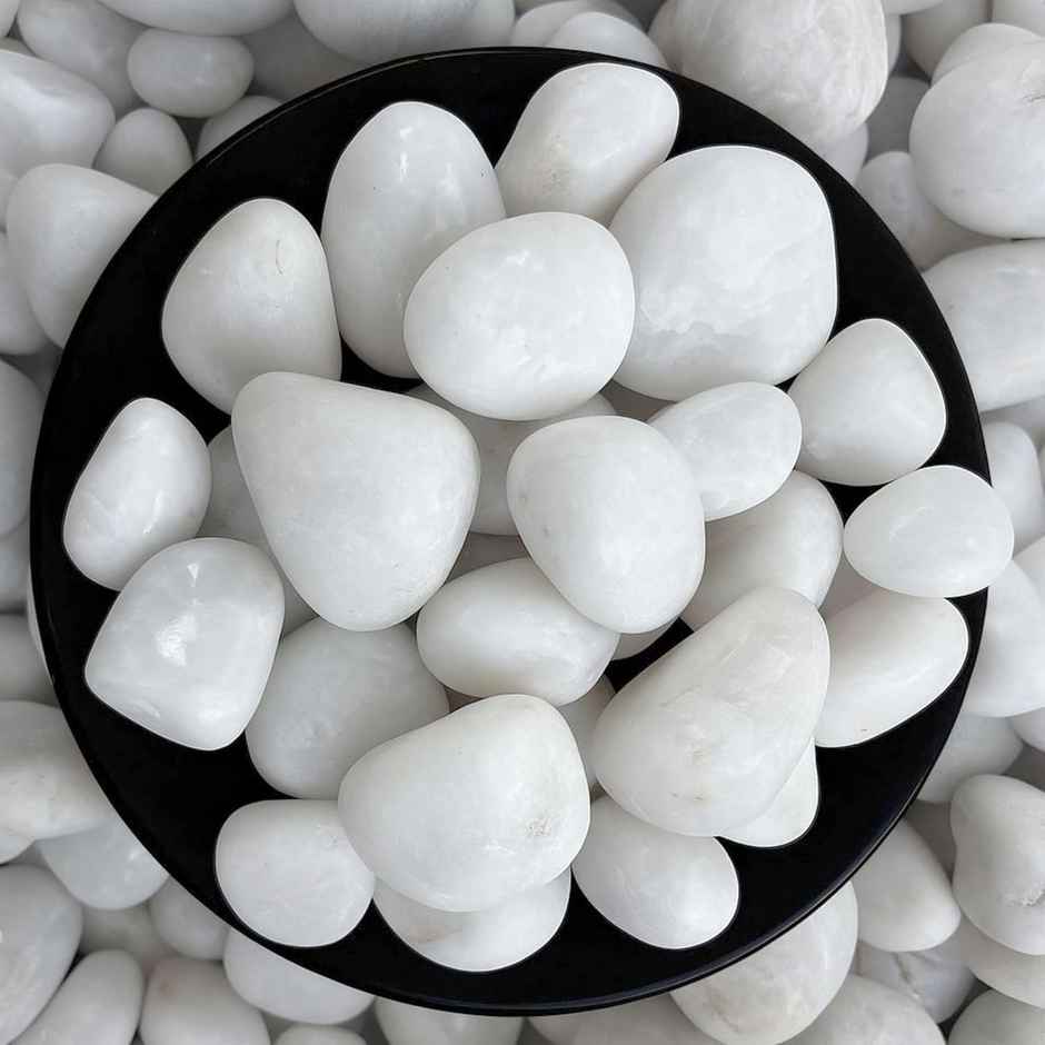Foodie Puppies White Polished Pebbles Glossy Stones for Aquarium and Fish Tank 2Kg