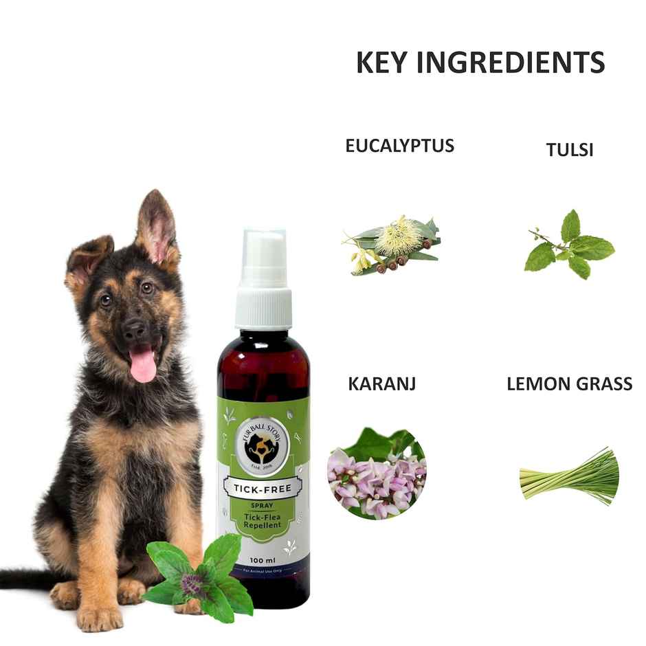 Fur Ball Story Tick Free, Tick & Flea Repelling Spray For Dogs & Cats