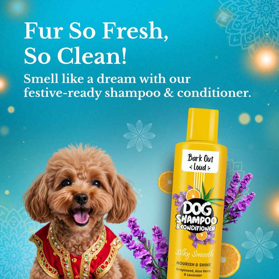 Bark Out Loud Special Dog Gift Box | Treats, Shampoo & Supplements