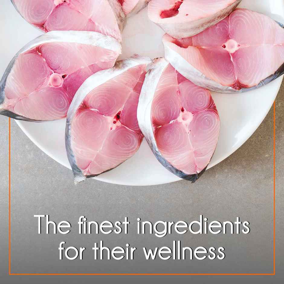 Purepet Mackerel Adult Dry Cat Food