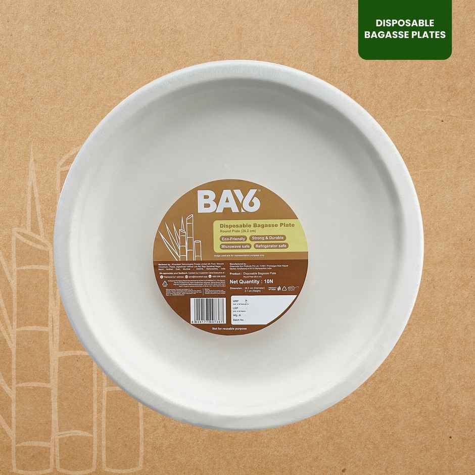 Round Disposable Plate | 10 inch | Pack of 10 | BAY6