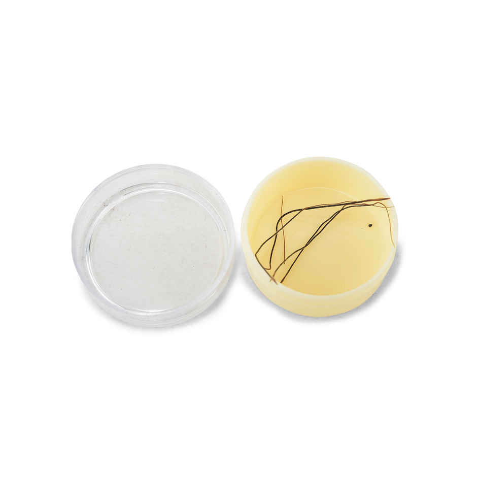 Pujashree Rajmohini - Warns against negative Situations in Life | Warn Against Difficulties