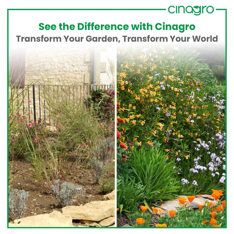 Cinagro Vermicompost Plant Fertilizer, Improves Plant Health, Water Retention & Soil Quality