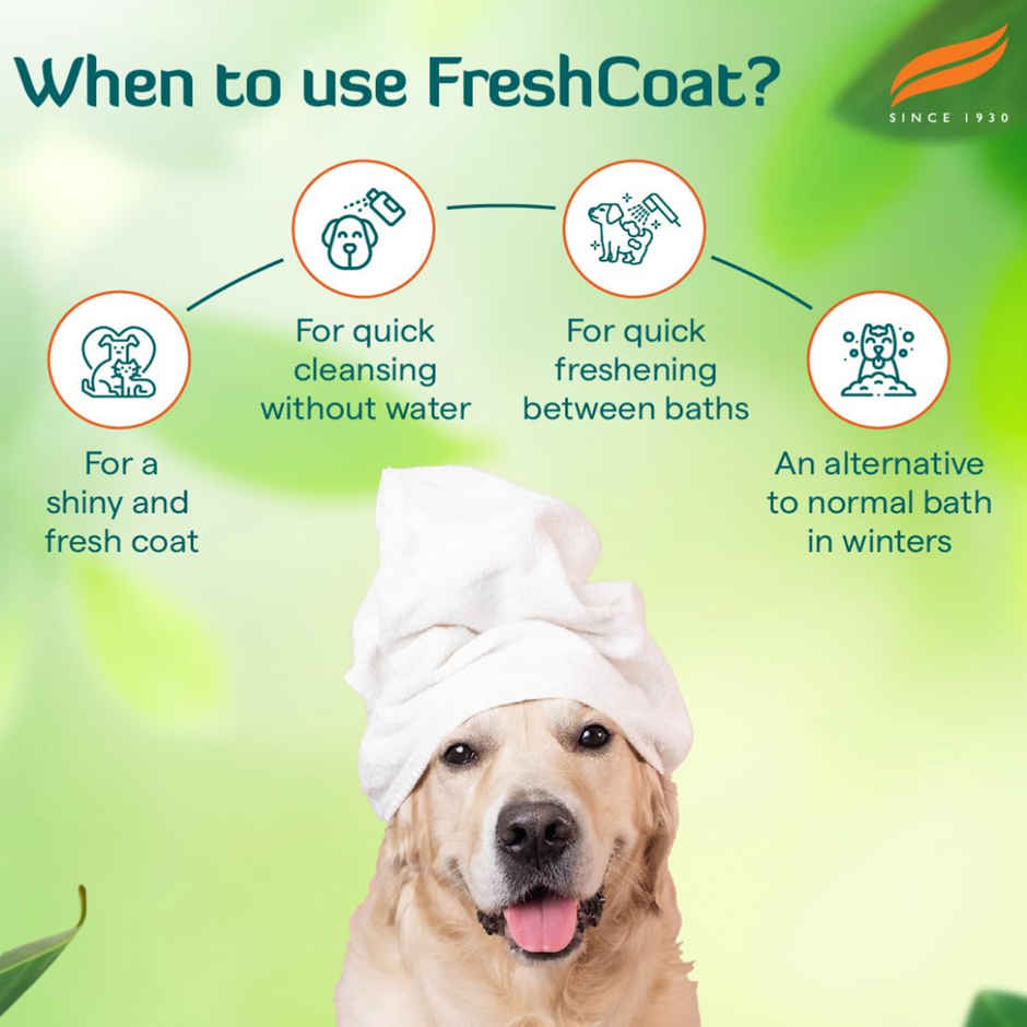 Himalaya Fresh Coat