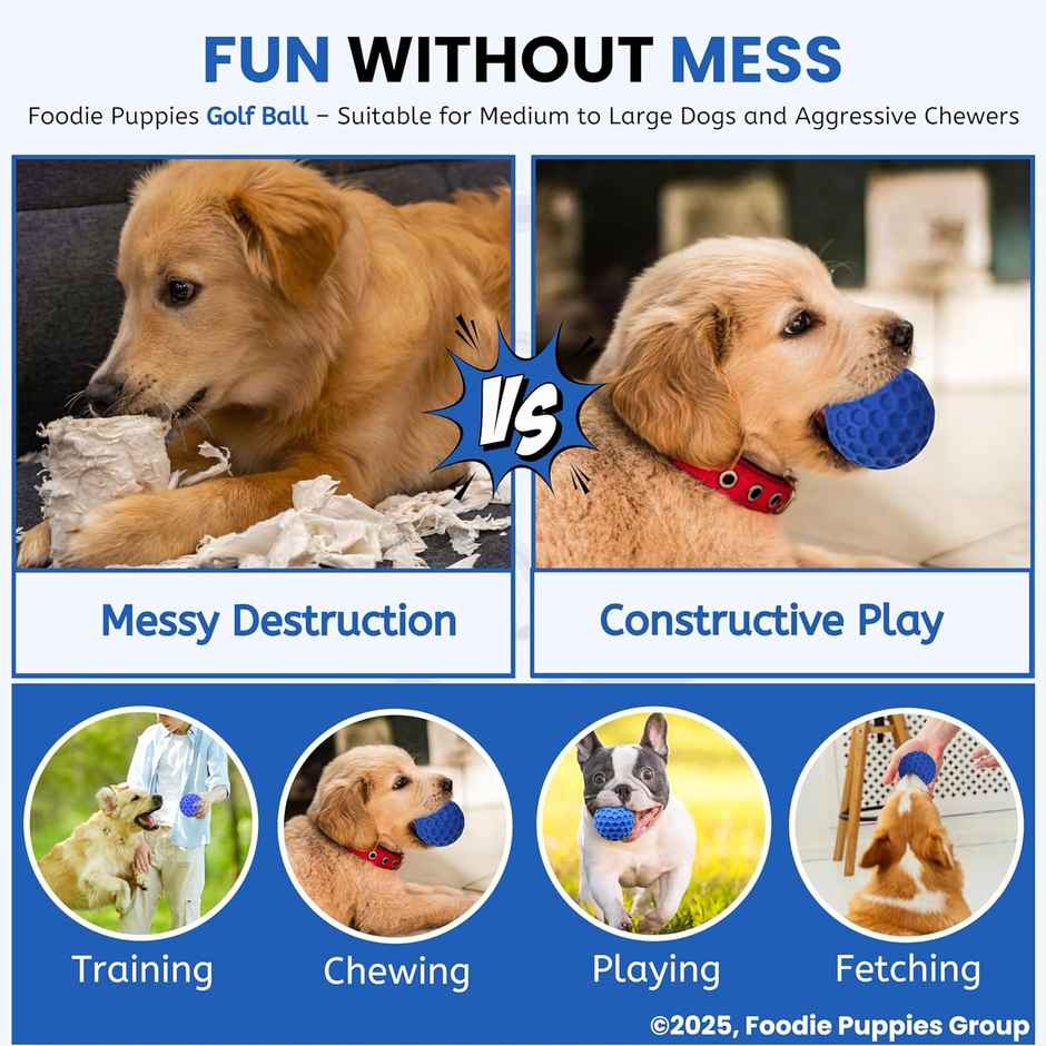 Foodie Puppies Tough Rubber Squeaky Dog Chew Golf Ball