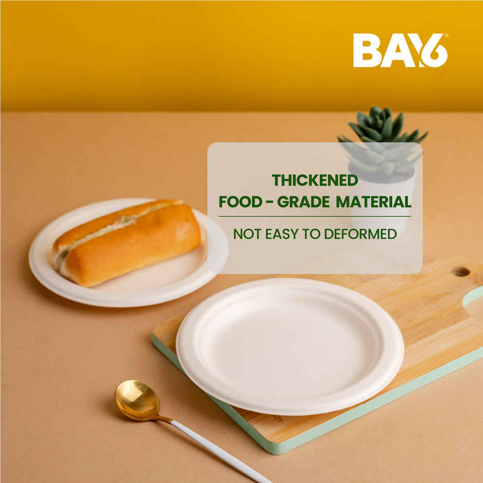 Round Disposable Flat Plate | 15 cm | BAY6