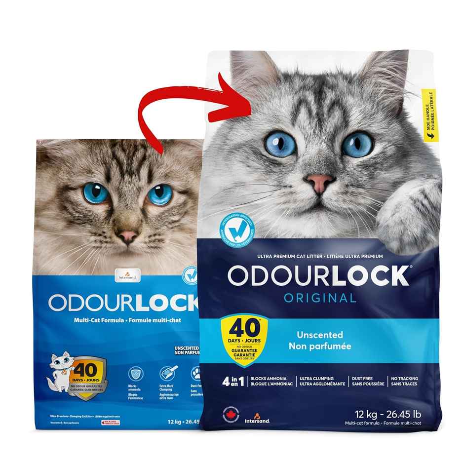 Intersand Odourlock Cat Litter